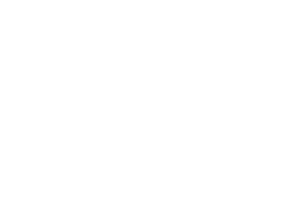 MSC-Cruceros-web-2.png