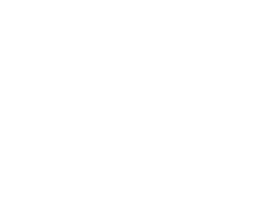 vueling.png